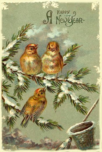 A Happy New Year Postcard