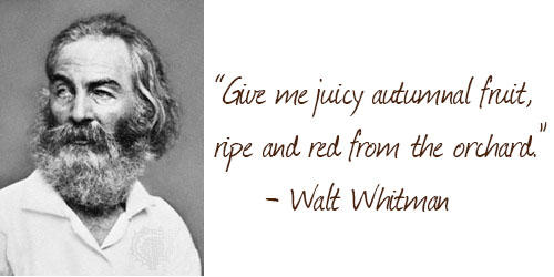 Apples - walt whitman
