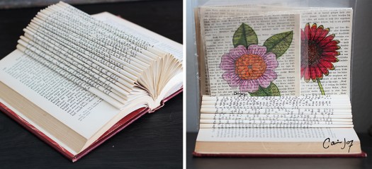 Illustrated book pages double